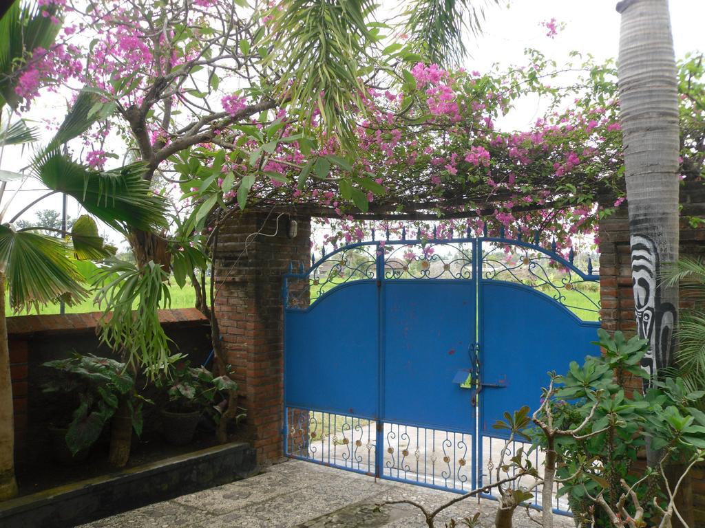 Villa Murni Lovina Pokoj fotografie