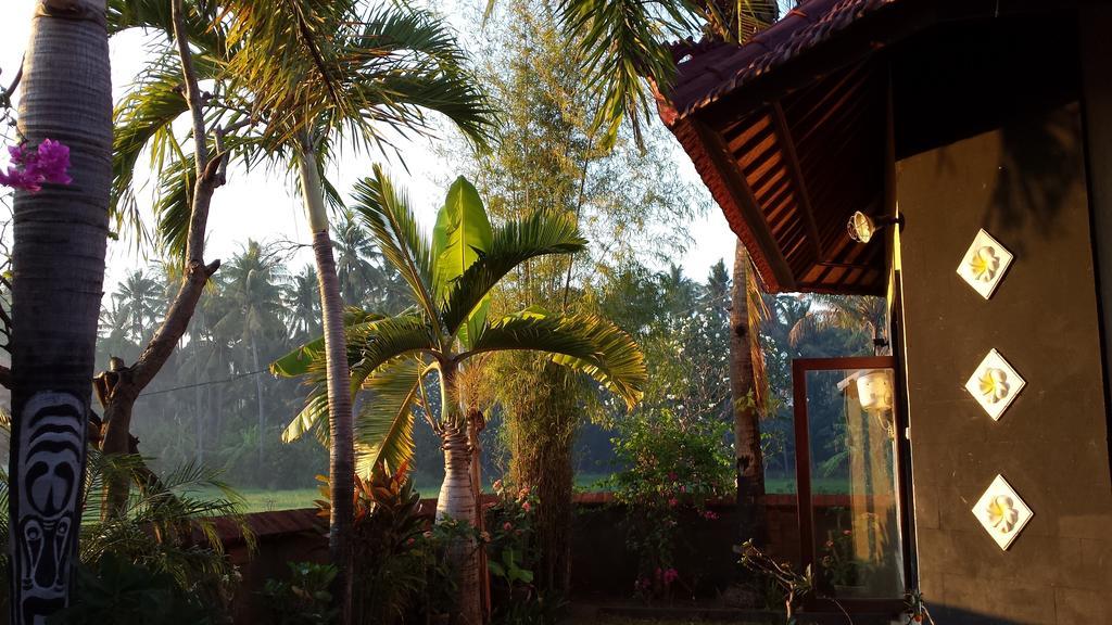 Villa Murni Lovina Pokoj fotografie