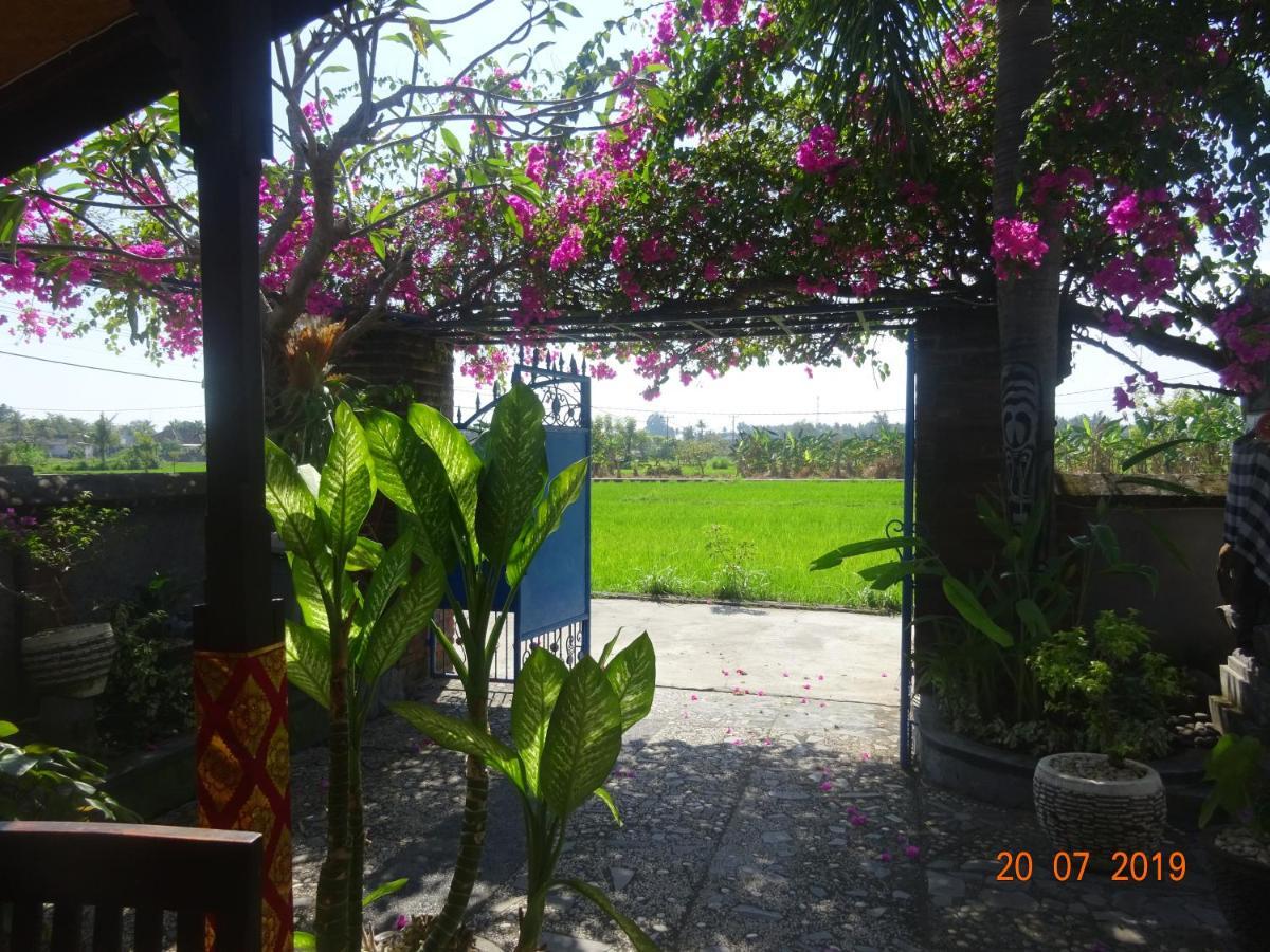 Villa Murni Lovina Exteriér fotografie